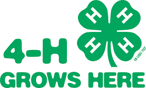 4h grows here