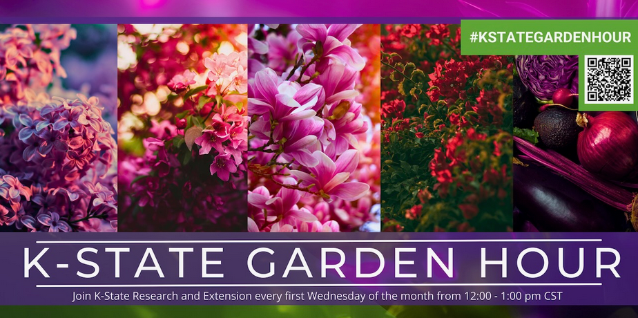 Garden Hour